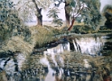 064 Autour de Ste Marie Aux Mines (50x65)